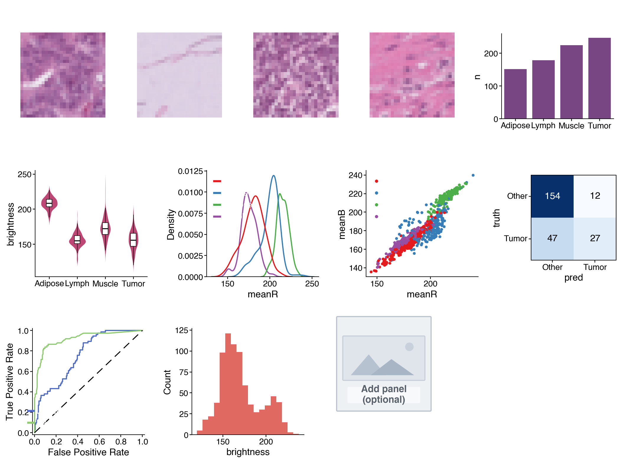 Sample figure — PathMNIST colorectal histology analysis